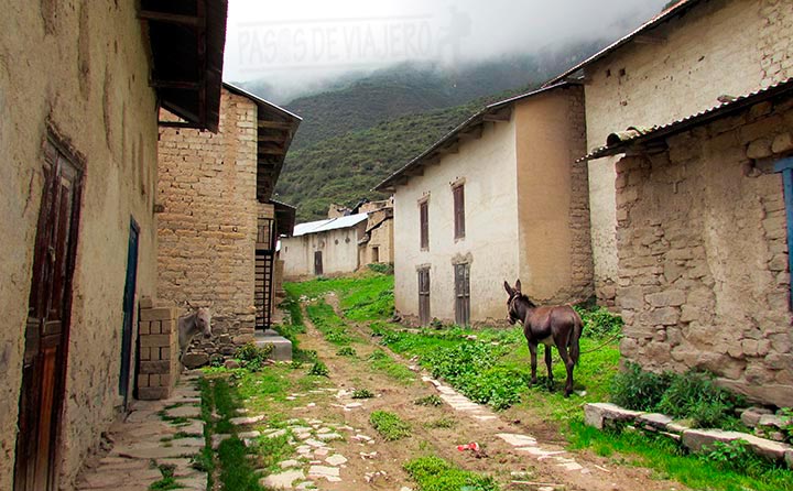 Calle de Pampas