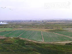 Vista del valle desde lo alto de La Barranca