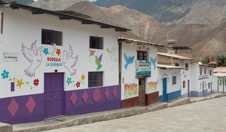 Fachadas pintadas con aves y flores en Antioquía