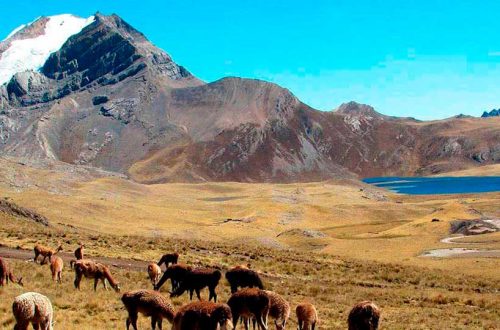 La cordillera de la viuda