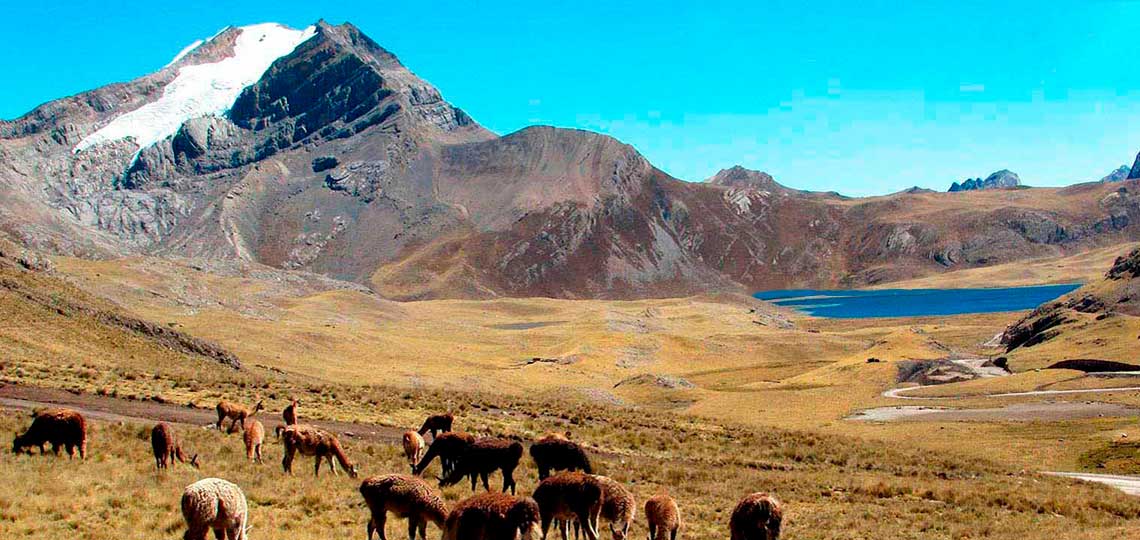 La cordillera de la viuda