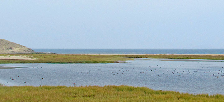 Playa Paraíso