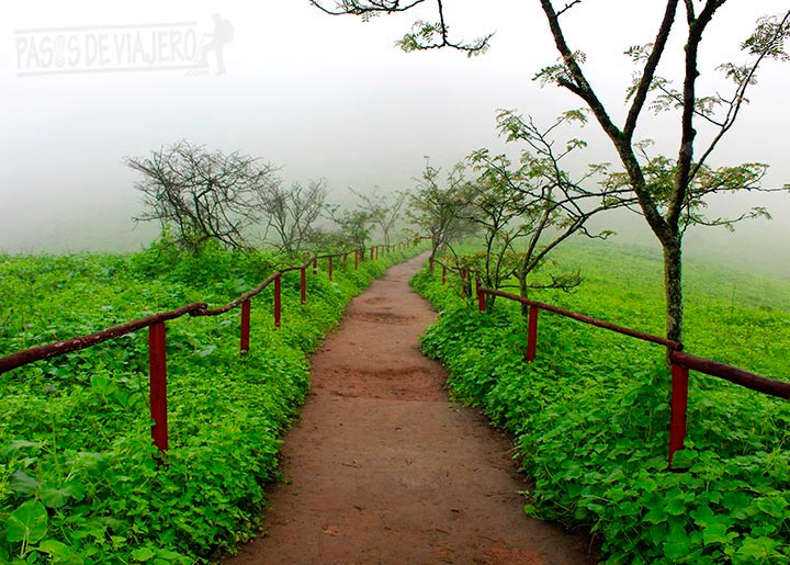 Un sendero en las Lomas de Lachay